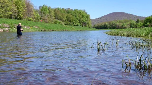 spring fishing, man walking in the water, fishing in the river stream