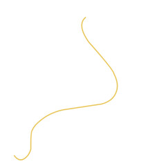 Golden thread Vector Illustration 