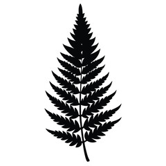fern leaf silhouette