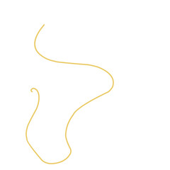 Golden thread Vector Illustration 