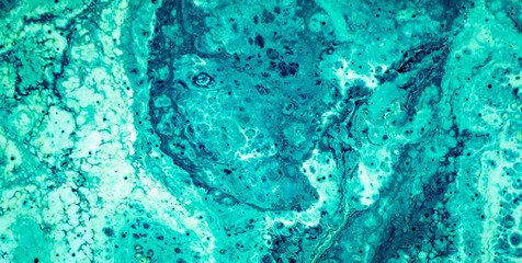 Subtle Grunge Textured Pattern on a Vintage Blank Canvas