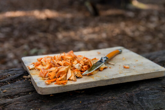 fresh orange pine mushroom on a cutting board
