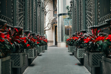 Beautiful narrow European-style street in Hanoi, Vietnam