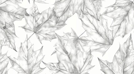 Fototapeta premium Delicate, grayscale maple leaf pattern