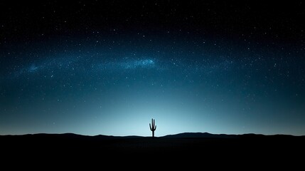 Obraz premium Desert night sky with a saguaro cactus