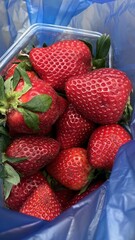 strawberries in a box