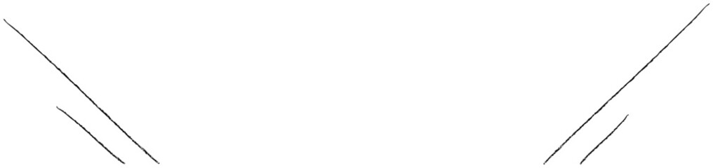 手描きの斜め二重飾りラインイラスト