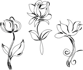 Elegant Line Art Floral Set Three Black Flowers Botanical Illustration