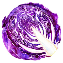 Obraz premium Purple cabbage watercolor painting shows fresh vegetable with detailed leaves and vibrant colors in natural style that captures beauty of food in realistic way