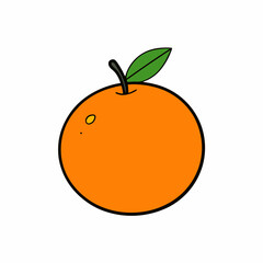 vector illustration of an orange