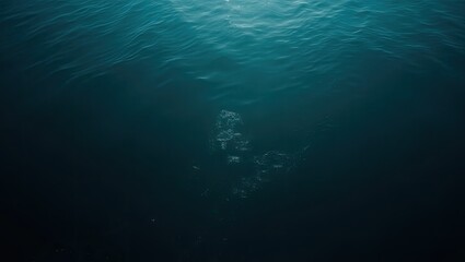 Fototapeta premium underwater scene with underwater bubbles