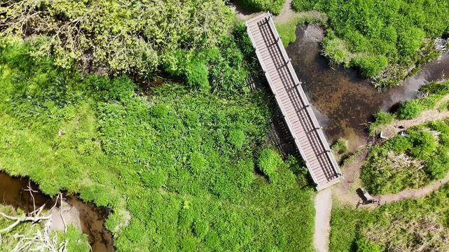 Drone zooming in, the bridge revealing finer details above the river, surrounded by dense greenery