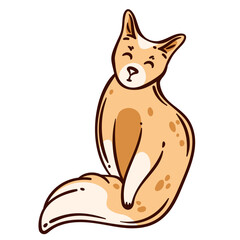 Colorful doodle cat sits happily. Vector illustration of cheerful orange cat with friendly expression