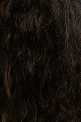 Naklejka premium Natural curly hair showcasing texture and volume in a close-up view