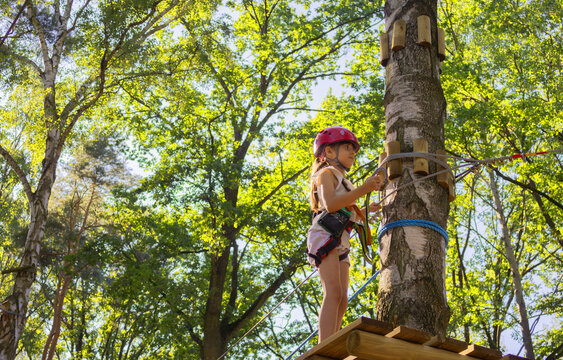 Child in helmet navigating tree climbing obstacle course in summer