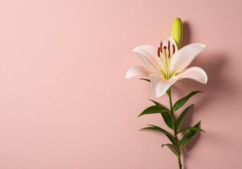 Fototapeta premium Floral Background 