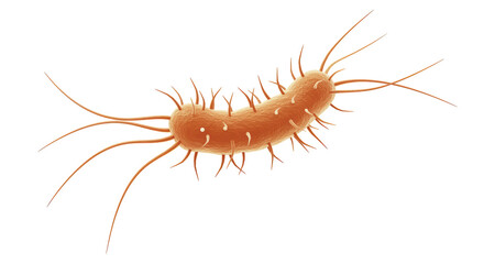Isolated Microscopic Bacterium with Flagella for Scientific Study