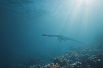 Obraz premium Swimming gracefully through crystal-clear waters while exploring a vibrant coral reef teeming with marine life during daylight hours