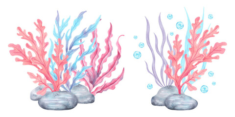 Seaweed with stones and bubbles. Watercolor composition illustration. Marine art of underwater plants. Ocean fauna. Hand drawn isolated art. For marine theme, cards, children's projects, tourism