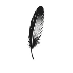 Obraz premium black Feather Vector Silhouette Image with white background