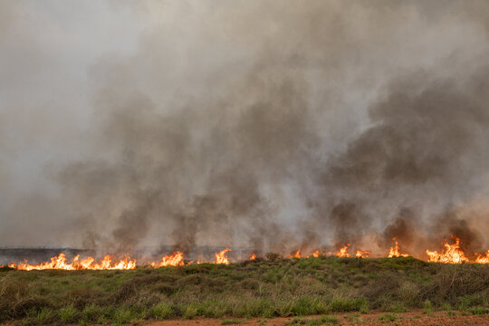 Onslow bush fire and smoke, started by lightening strike