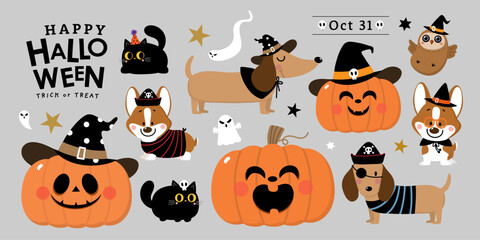 Happy halloween party invitation card with cute dachshund puppy wear witch hat, corgi dog in fancy costume, black cat, ghost and spooky pumpkin. Animals holidays cartoon character. -Vector 