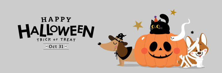 Happy halloween party invitation card with cute dachshund puppy wear witch hat, corgi dog in fancy costume, black cat, ghost and spooky pumpkin. Animals holidays cartoon character. -Vector 