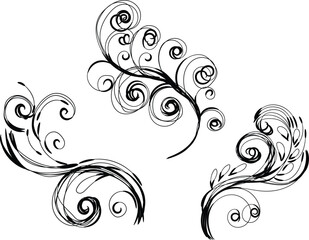Three Elegant Black Swirl Floral Designs Isolated on White Background