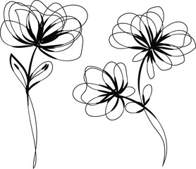 Elegant Abstract Line Art Flowers Botanical Illustration Design