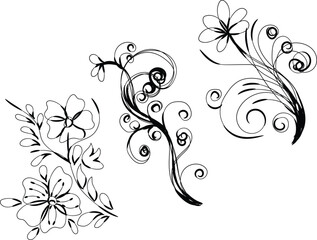 Elegant Black and White Floral Design Elements Set for Decoration