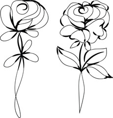 Elegant Line Art Rose Drawings Two Floral Designs Black Ink