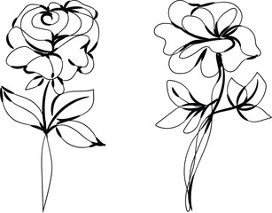Elegant Line Art Drawings of Two Roses with Leaves Botanical Illustration