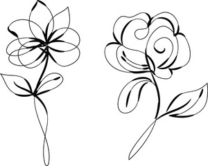 Elegant Line Art Floral Designs Two Simple Flowers Black Ink