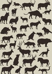 Fototapeta premium Silhouette Wildlife: Elegant Animal Collection