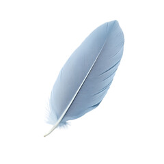 Single light blue feather on black background delicate and soft