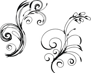 Elegant Black and White Floral Swirls Design Elements for Decoration
