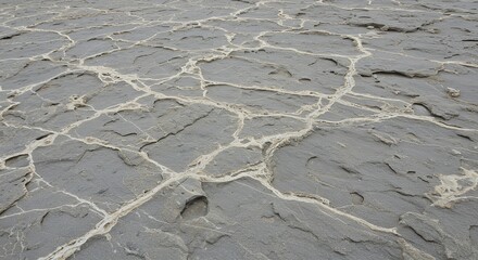 Fototapeta premium Cracked Rock Surface