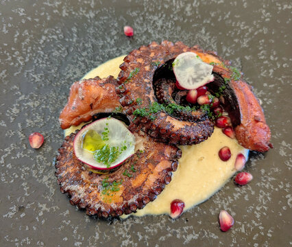 grilled octopus on a bed of hummus
