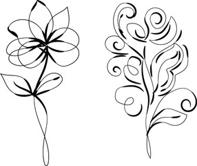 Elegant Black Line Art Floral Designs Two Simple Flower Illustrations