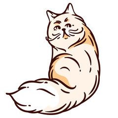 Doodle funny cat with playful expression. Fluffy cute cat sits turned around looking back vector illustration