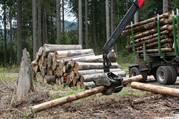 Langholzwagen im Wald beim Beladen des LKW mit gefällten Bäumen. Gestapelte Baumstämme für die...