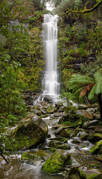 Waterfall in temperate rainforest