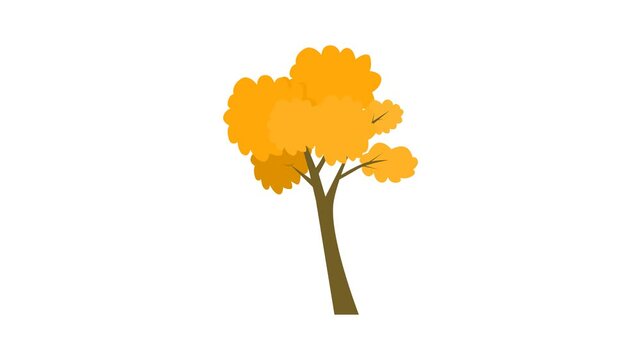 orange leaf tree. autumn tree. fall monsoon tree. season theme. woody tree. flat style. nature theme. simple animation. motion graphics