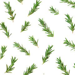 Obraz premium Fresh rosemary sprigs on black background