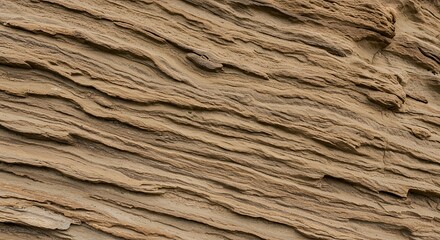 Fototapeta premium Sandstone Texture Close Up