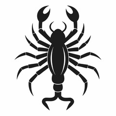 crab spider vector illustration