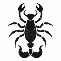 scorpion vector illustration