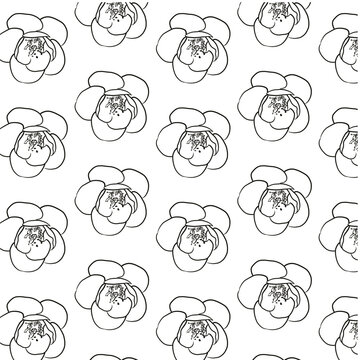 Spanish Cherry or Mimusops elengi flower Seamless Pattern Hand drawn vector line art, Black and White Flower isolated in white. Beautiful design for textile, wallpaper, wrapping paper and backgrounds