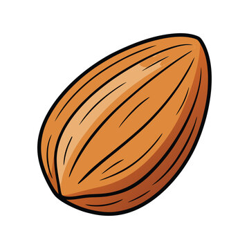 recommend clip art: Almond nut vector illustration. Whole almond clipart, healthy food icon, organic snack element, botanical seed design.
                    
                    
