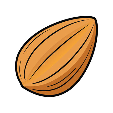 recommend clip art: Almond nut vector illustration. Whole almond clipart, healthy food icon, organic snack element, botanical seed design.
                    
                    
